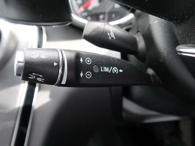 ＡＭＧ Ｃクラス Ｃ６３ H29年 (関東) 99