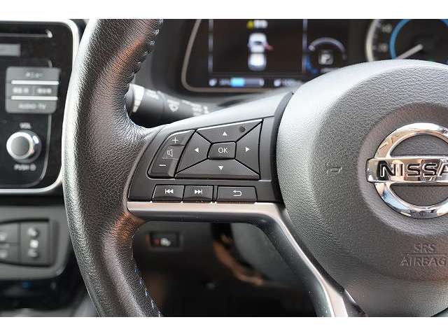 日産 リーフ Ｇ H30年 (関東) 99