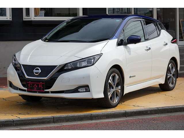 日産 リーフ Ｇ H30年 (関東) 99