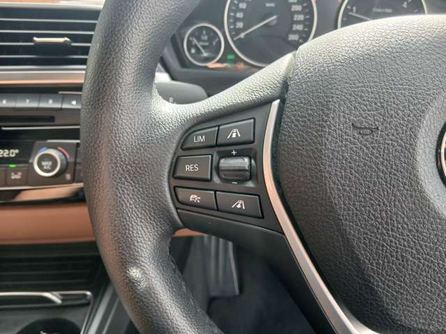 ＢＭＷ ３シリーズ ３２０ｄ　ラグジュアリー H28年 (近畿) 99