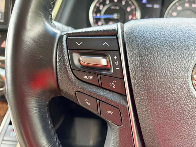 トヨタ アルファード ２．５ Ｇ ４ＷＤ H30年 (東北) 99