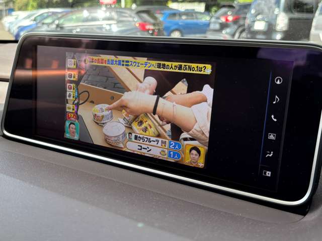 レクサス ＲＸ２００ｔ バージョンＬ H28年 (東北) 99