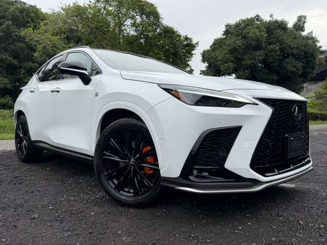 レクサス ＮＸ３５０ｈ Ｆスポーツ R5年 (近畿) 99