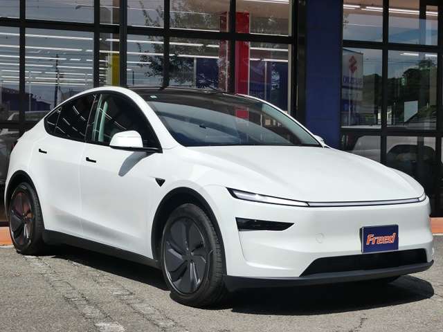 テスラ モデルＹ ロングレンジ R7年 (東海) 99