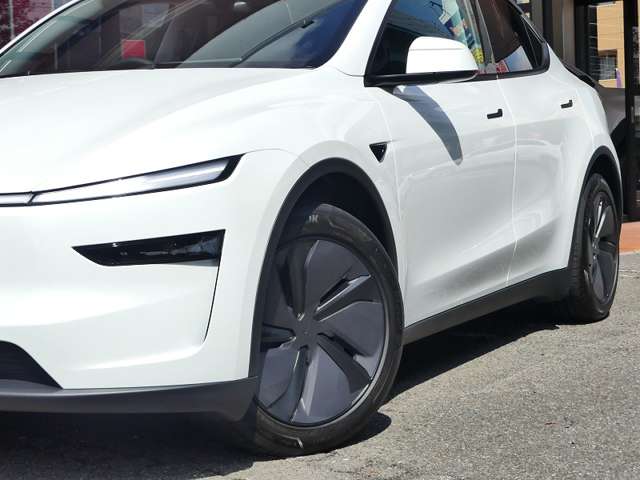 テスラ モデルＹ ロングレンジ R7年 (東海) 99