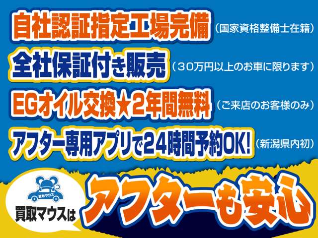 トヨタ プロボックスバン １．５ ＤＸコンフォートパッケージ H16年 (甲信越・北陸) 99