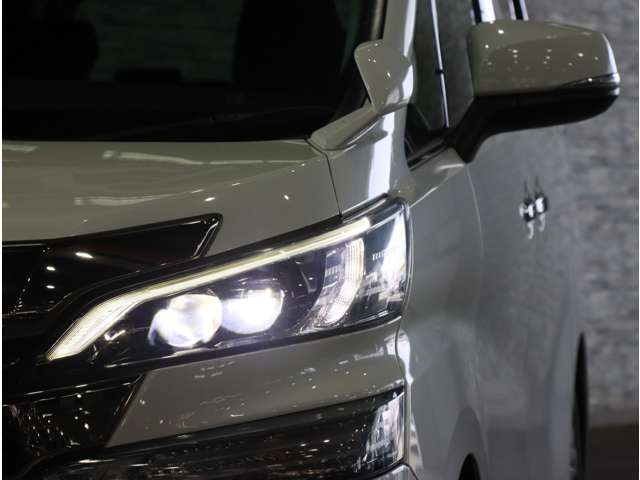 トヨタ ヴェルファイア ３．５ ＺＡ Ｇエディション H29年 (関東) 99