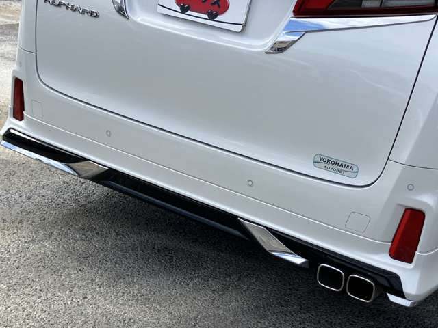 トヨタ アルファード ２．５ Ｓ Ａパッケージ R1年 (関東) 99