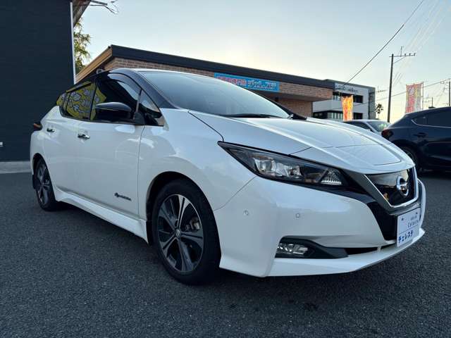 日産 リーフ Ｇ H29年 (九州・沖縄) 99