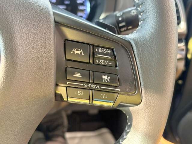 スバル レヴォーグ １．６ ＧＴ アイサイト プラウド エディション ４ＷＤ H27年 (関東) 99