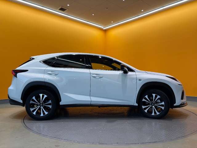 レクサス ＮＸ３００ Ｆスポーツ H30年 (近畿) 99