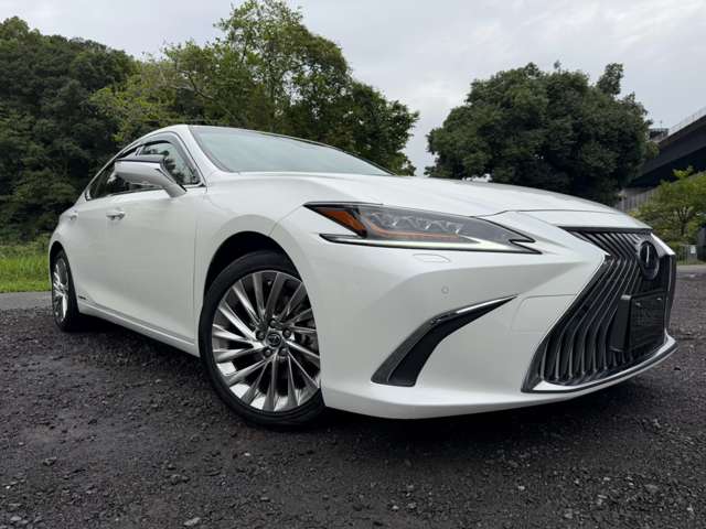 レクサス ＥＳ３００ｈ バージョンＬ R3年 (近畿) 99