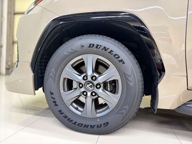レクサス ＬＸ７００ｈ ７００Ｈ オーバートレイルプラス ４ＷＤ R7年 (近畿) 99