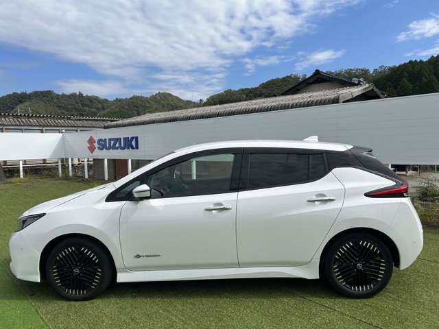 日産 リーフ Ｇ R5年 (近畿) 99