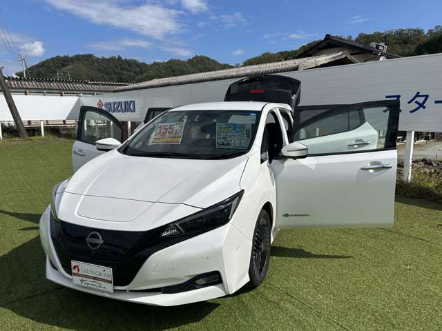 日産 リーフ Ｇ R5年 (近畿) 99
