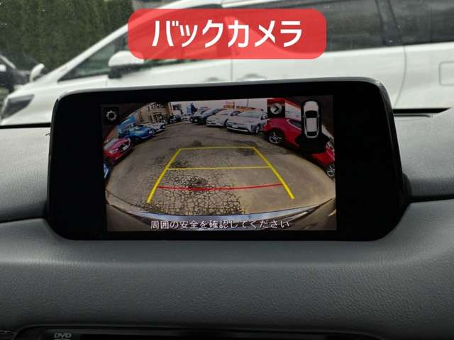 マツダ ＣＸ−５ ２．２ ＸＤ プロアクティブ ディーゼルターボ ４ＷＤ H29年 (北海道) 99