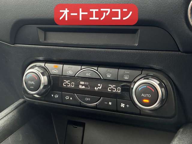 マツダ ＣＸ−５ ２．２ ＸＤ プロアクティブ ディーゼルターボ ４ＷＤ H29年 (北海道) 99