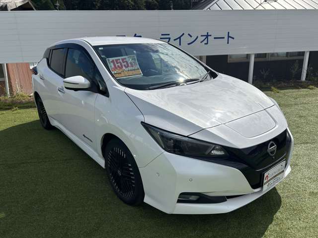 日産 リーフ Ｇ R5年 (近畿) 99