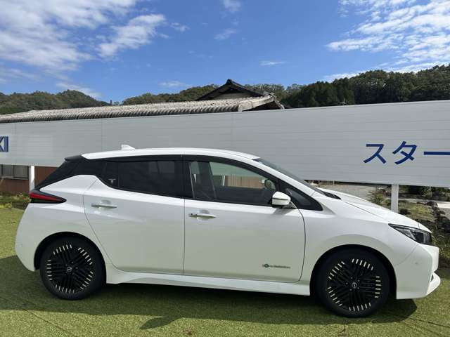 日産 リーフ Ｇ R5年 (近畿) 99