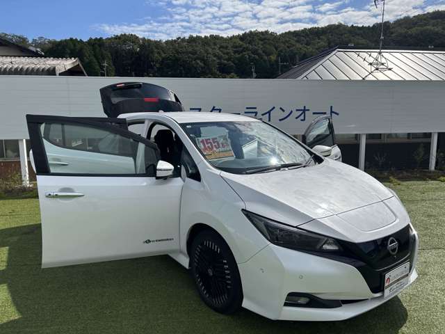 日産 リーフ Ｇ R5年 (近畿) 99