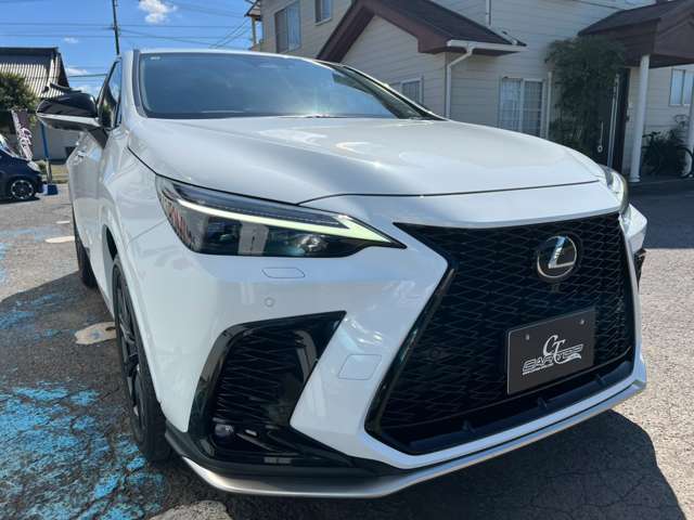 レクサス ＮＸ３５０ｈ Ｆスポーツ R7年 (九州・沖縄) 99
