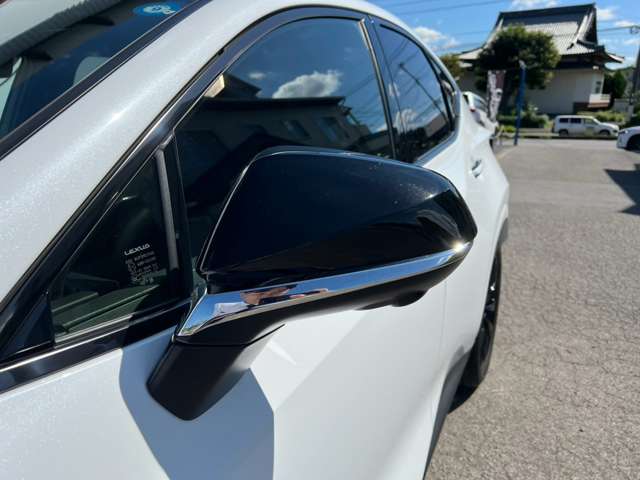 レクサス ＮＸ３５０ｈ Ｆスポーツ R7年 (九州・沖縄) 99