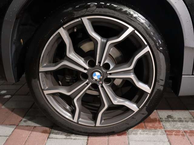 ＢＭＷ Ｘ２ Ｘドライブ１８Ｄ ＭスポーツＸ ディーゼルターボ ４ＷＤ R1年 (関東) 99