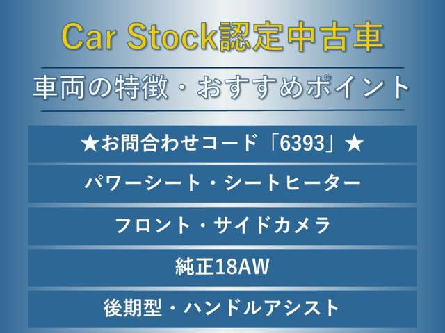 スバル レヴォーグ １．６ ＧＴ－Ｓ アイサイト ４ＷＤ H29年 (東海) 99