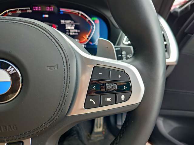 ＢＭＷ Ｘ３ Ｘドライブ２０Ｄ Ｍスポーツ ディーゼルターボ ４ＷＤ R6年 (関東) 99