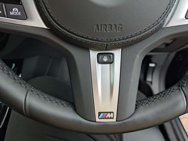 ＢＭＷ Ｘ３ Ｘドライブ２０Ｄ Ｍスポーツ ディーゼルターボ ４ＷＤ R6年 (関東) 99