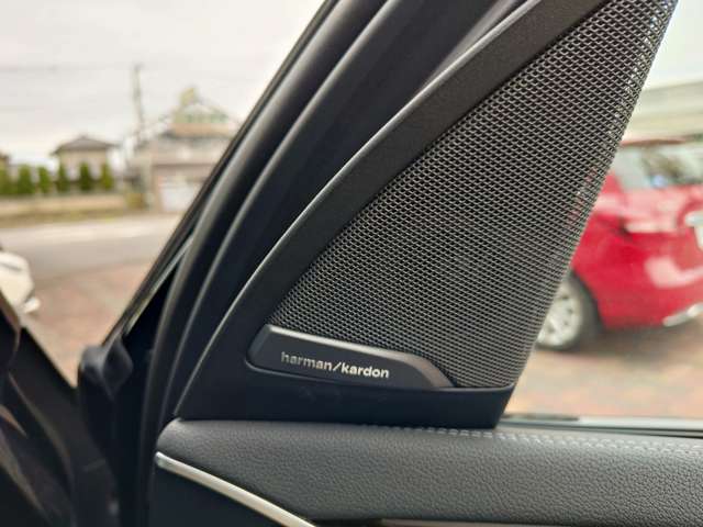 ＢＭＷ Ｘ３ Ｘドライブ２０Ｄ Ｍスポーツ ディーゼルターボ ４ＷＤ R6年 (関東) 99