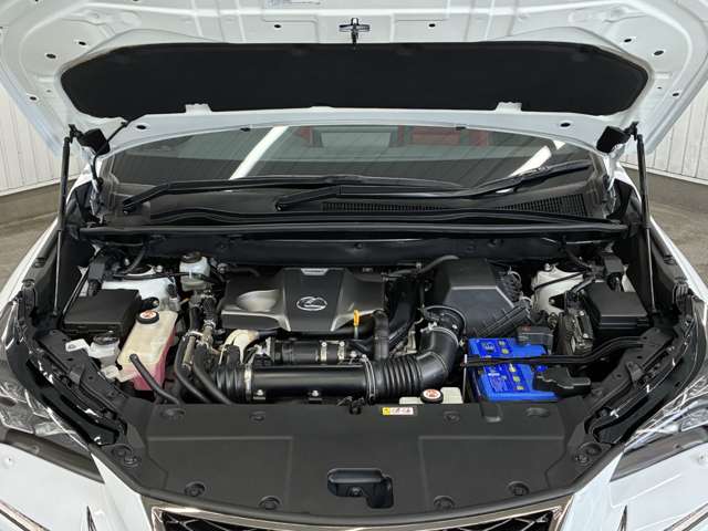 レクサス ＮＸ３００ Ｆスポーツ R1年 (東海) 99