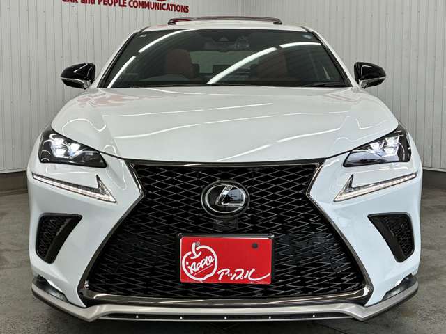 レクサス ＮＸ３００ Ｆスポーツ R1年 (東海) 99