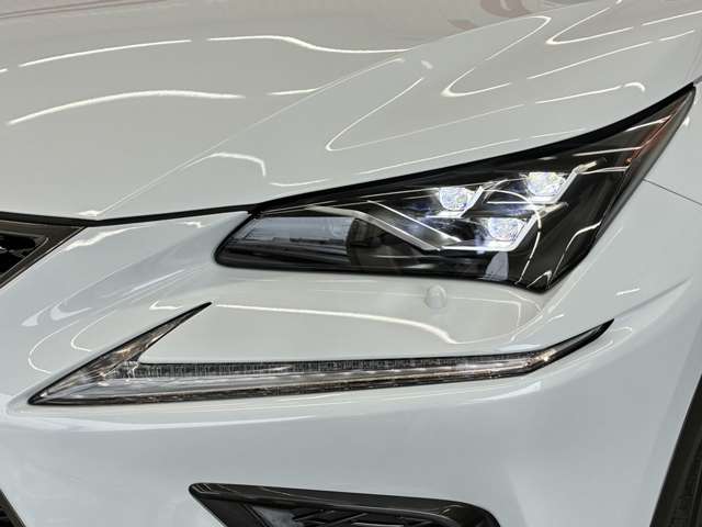 レクサス ＮＸ３００ Ｆスポーツ R1年 (東海) 99
