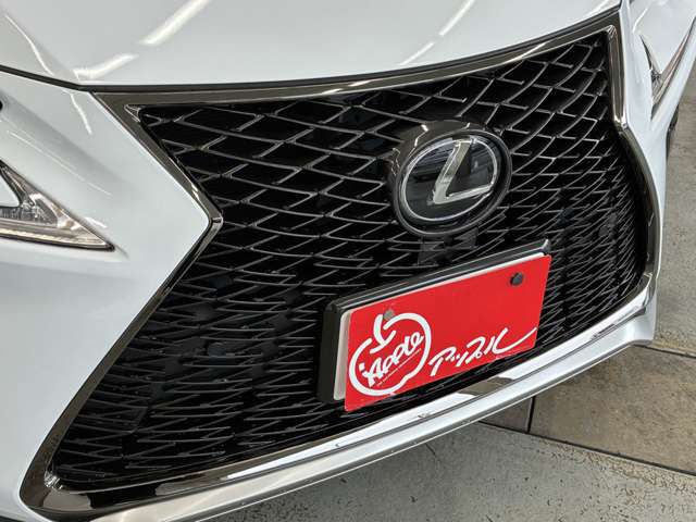 レクサス ＮＸ３００ Ｆスポーツ R1年 (東海) 99