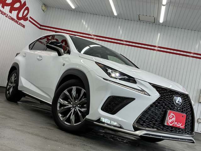 レクサス ＮＸ３００ Ｆスポーツ R1年 (東海) 99
