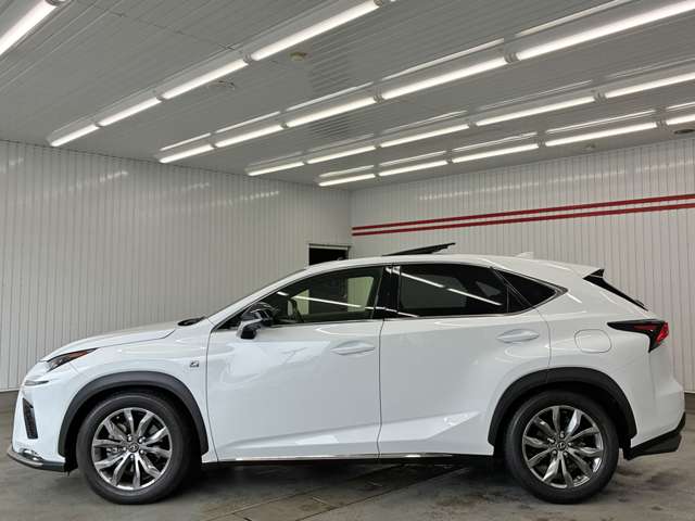レクサス ＮＸ３００ Ｆスポーツ R1年 (東海) 99