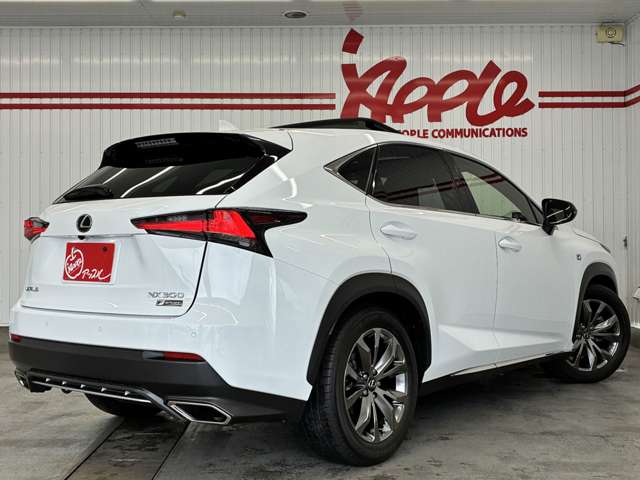 レクサス ＮＸ３００ Ｆスポーツ R1年 (東海) 99