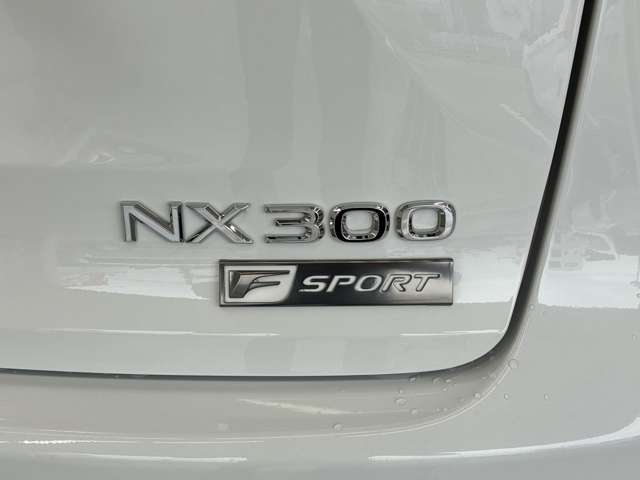 レクサス ＮＸ３００ Ｆスポーツ R1年 (東海) 99