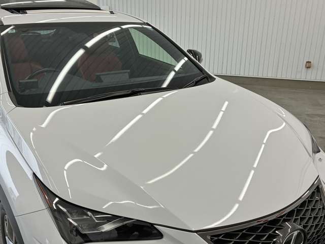 レクサス ＮＸ３００ Ｆスポーツ R1年 (東海) 99