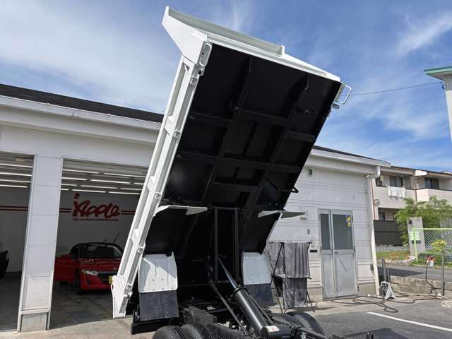 いすゞ エルフ ３．０ 強化ダンプ フルフラットロー ディーゼルターボ R8年 (東海) 99