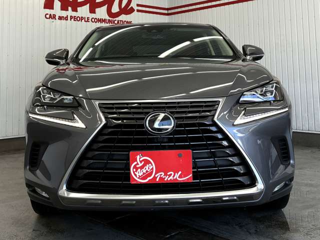 レクサス ＮＸ３００ Ｉパッケージ H29年 (東海) 99