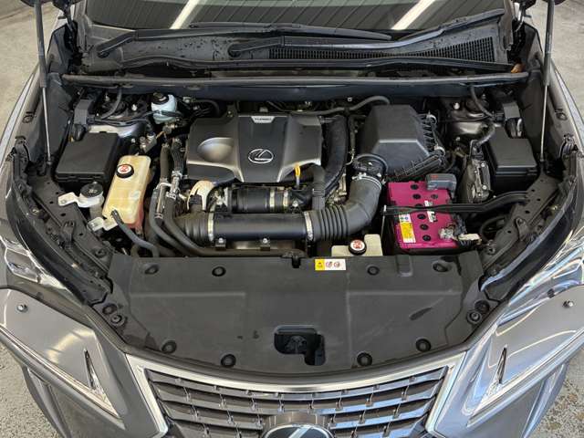 レクサス ＮＸ３００ Ｉパッケージ H29年 (東海) 99
