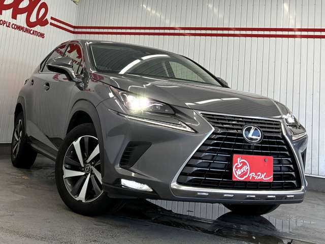 レクサス ＮＸ３００ Ｉパッケージ H29年 (東海) 99