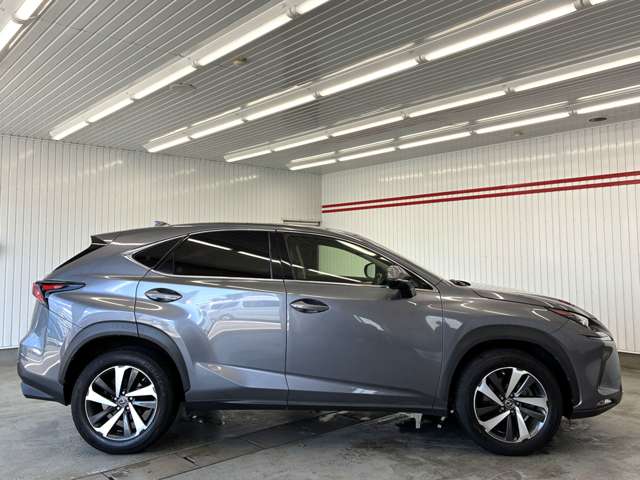 レクサス ＮＸ３００ Ｉパッケージ H29年 (東海) 99