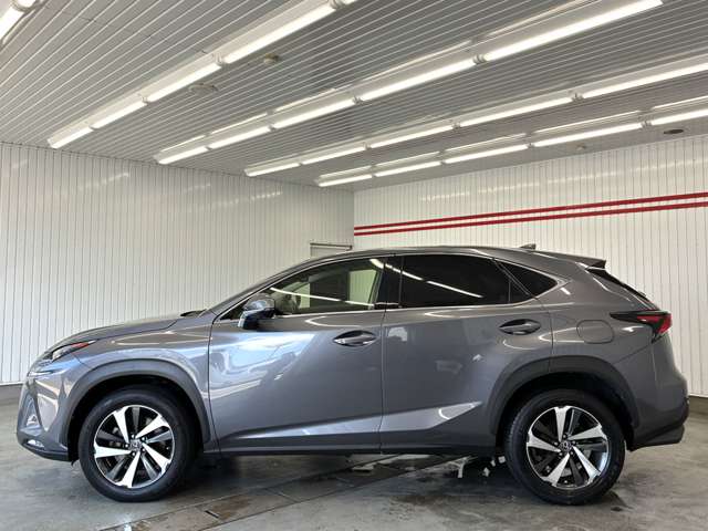 レクサス ＮＸ３００ Ｉパッケージ H29年 (東海) 99