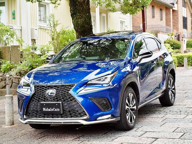 レクサス ＮＸ３００ｈ Ｆスポーツ H30年 (近畿) 99