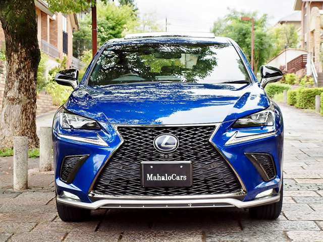 レクサス ＮＸ３００ｈ Ｆスポーツ H30年 (近畿) 99