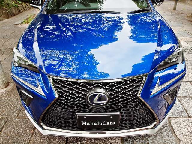 レクサス ＮＸ３００ｈ Ｆスポーツ H30年 (近畿) 99