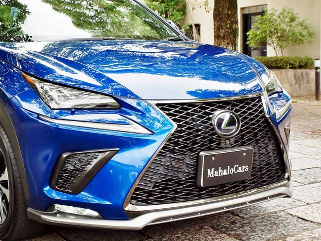 レクサス ＮＸ３００ｈ Ｆスポーツ H30年 (近畿) 99